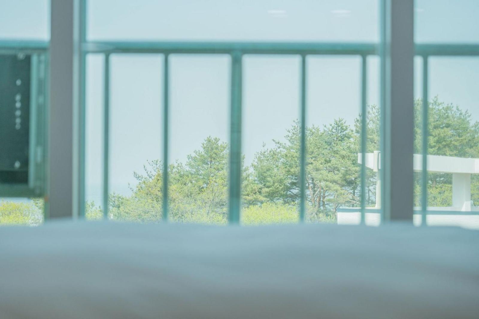 Zio Pinetree Hotel Yangyang Ngoại thất bức ảnh
