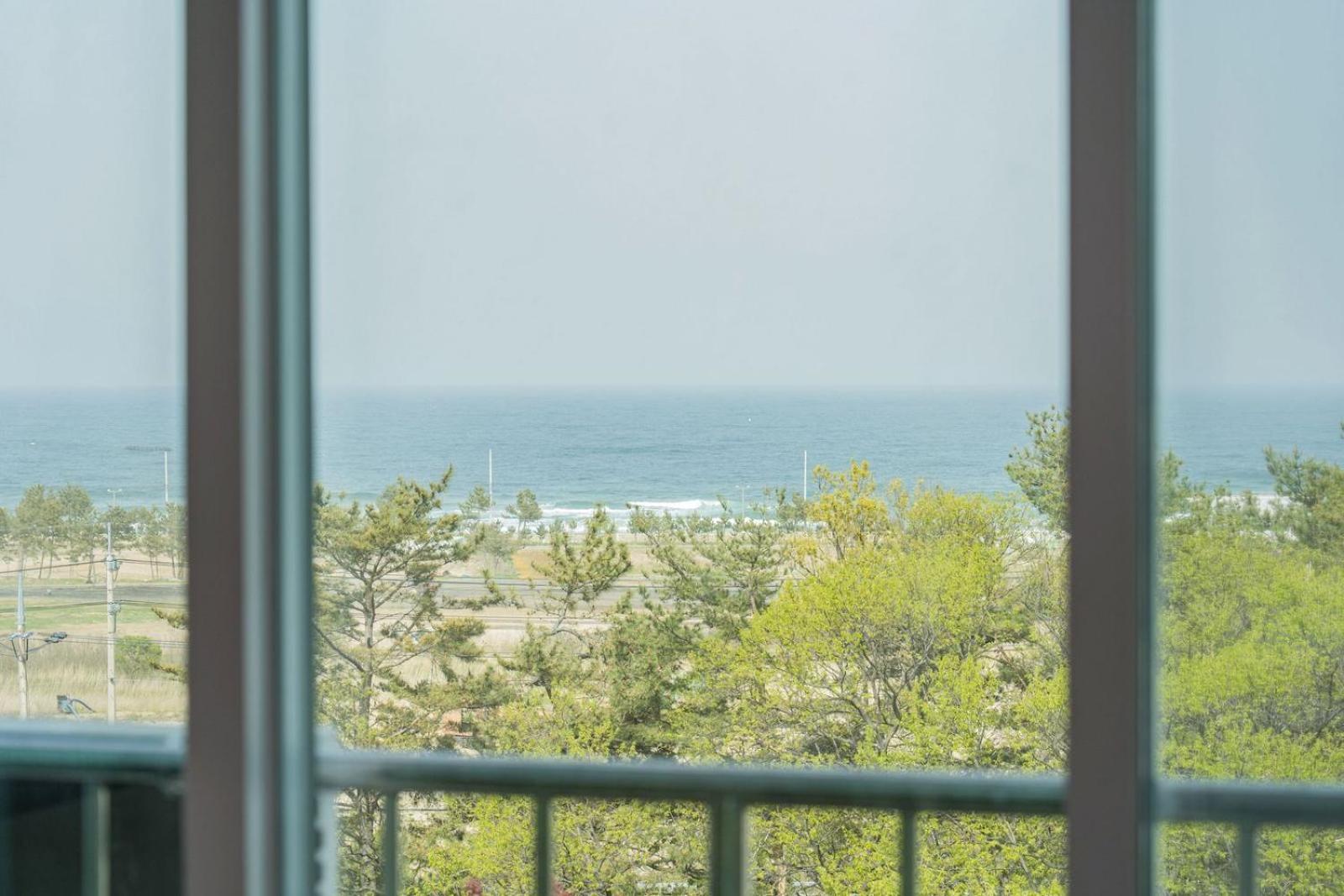 Zio Pinetree Hotel Yangyang Ngoại thất bức ảnh